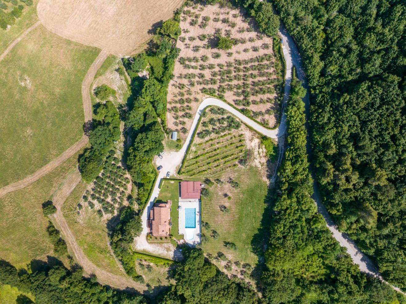Agriturismo Isola Verde SantʼUrbano Zewnętrze zdjęcie
