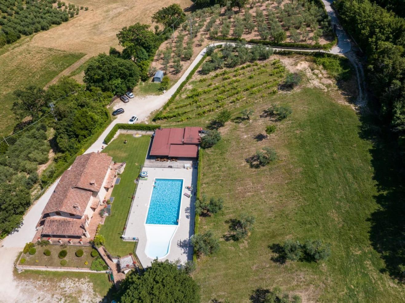 Agriturismo Isola Verde SantʼUrbano Zewnętrze zdjęcie